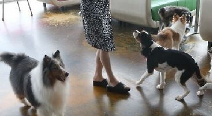 Dog hotel operator accused of fatal dog abuse