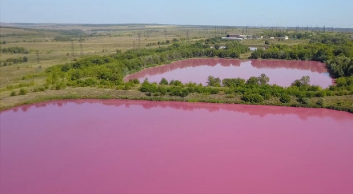 ‘독성’ 분홍색으로 변한 거대한 호수…“원인 파악 중”