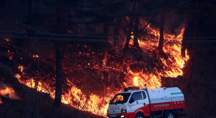 Fire in Yangyang burns 20 ha of forest
