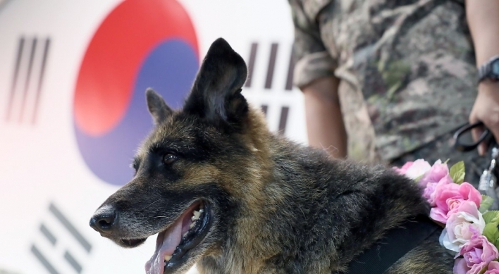 Army holds first official retirement ceremony for four-legged troops