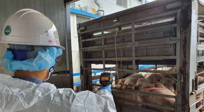 [Feature] Pig farmers cry for help from prolonged ASF outbreak
