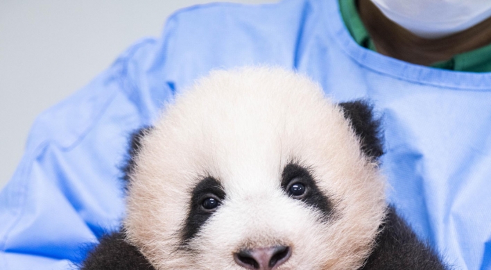 Korea’s first panda cub named Fu Bao