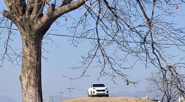Gyeongju city plans to sue driver of SUV parked atop ancient tomb