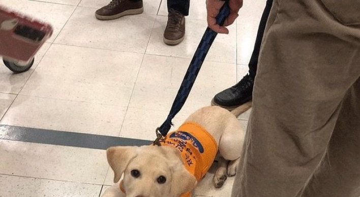 Lotte Mart apologizes for turning away guide dog in training