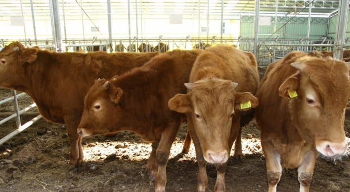 Number of beef cattle in S. Korea gains 3.9% in Q4