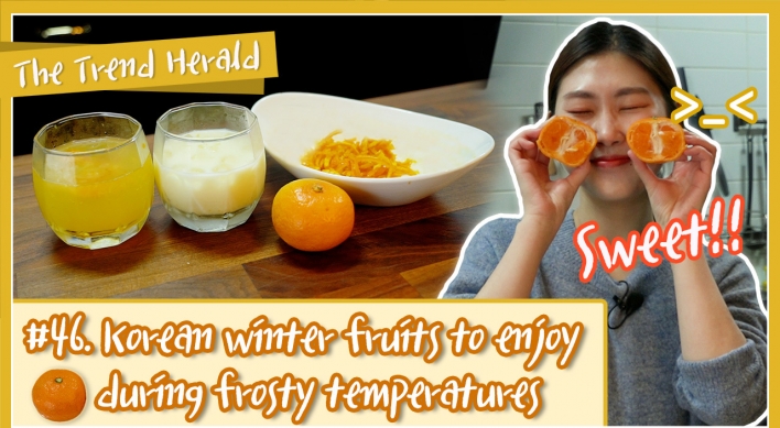 [Video] Korean winter fruits to enjoy during frosty temperatures