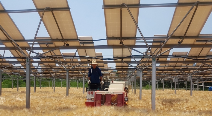 Hanwha to study building solar panels above crops