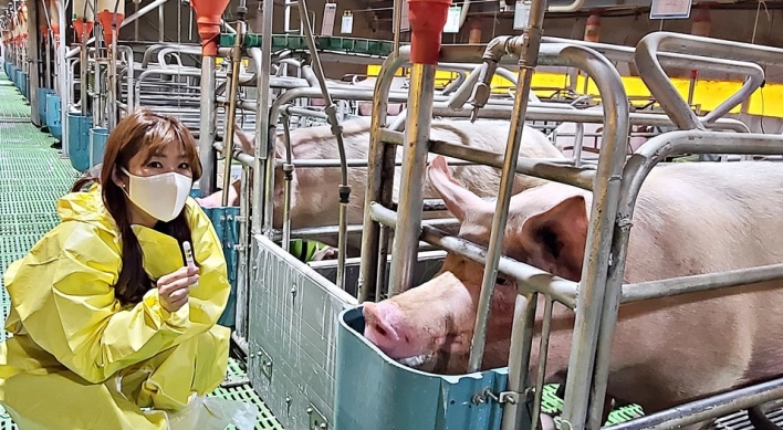 Local company develops smart livestock management solution for pigs