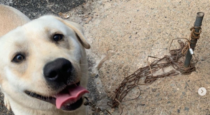 [Newsmaker] A majority of Koreans support ban on raising dogs on short leash