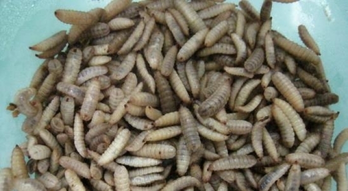 [Feature] From bugs to delicacies, insect proteins find niche in pet food market