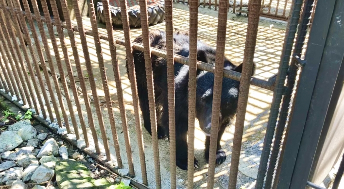Bile farm bears get reprieve, but remain locked up