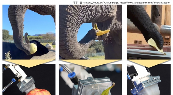 Scientists develop world’s 1st ‘elephant’s trunk-like gripper’