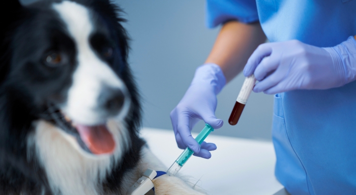 Bill aims to boost blood donations for pets