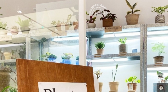 Are pet plants, plant butlers the latest trend or a form of therapy?