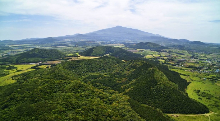 Jeju Island's Geomunoreum opens hidden forest trail to public