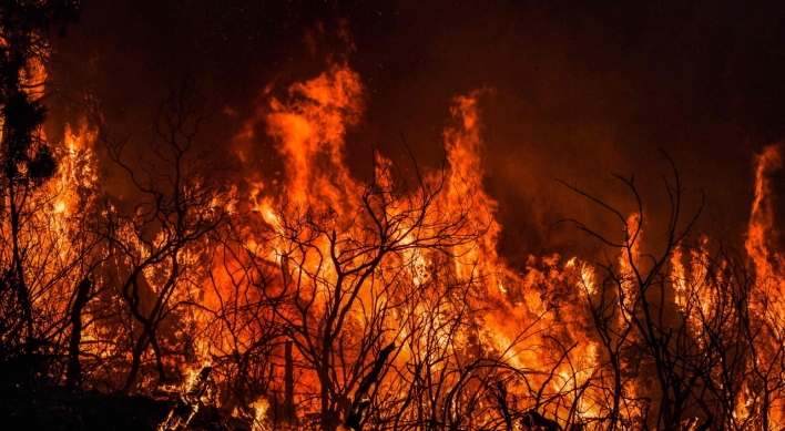Algeria battles raging wildfires that have killed 34