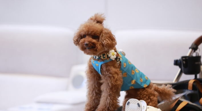 Korea to unveil medical care plans for pets in Oct.