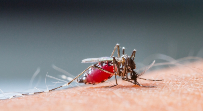 Malaria on the rise in Korea