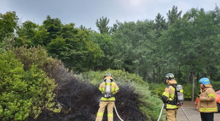 Park employees burn down 50 trees in beehive removal attempt