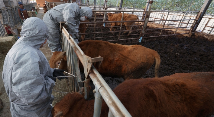 S. Korea vaccinates over 76% of cattle against lumpy skin disease