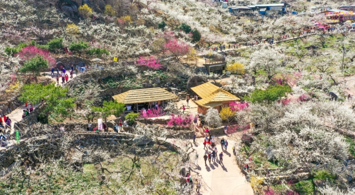 Gwangyang Plum Blossom Festival to charge admission for first time