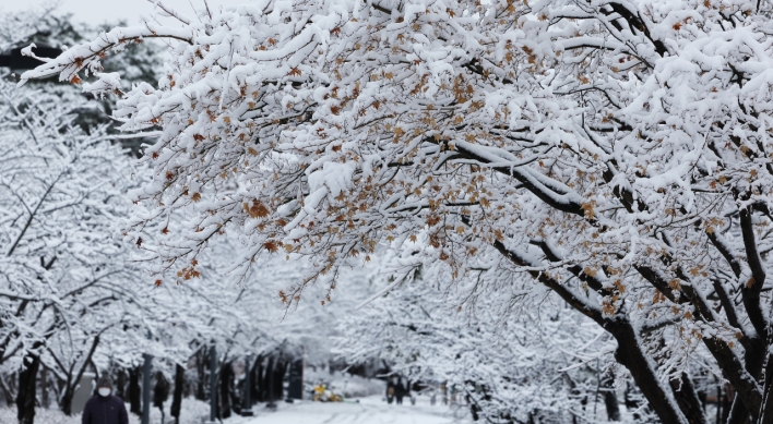 Heavy snow hits S. Korea, with more expected
