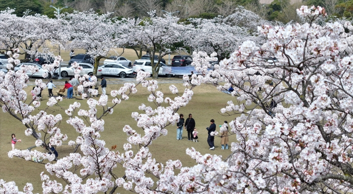 [Photo News] Jeju in full bloom