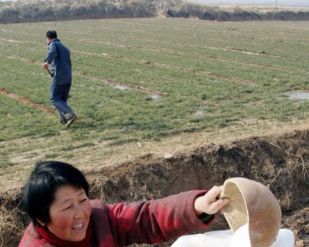 Chinese farmers sell produce online