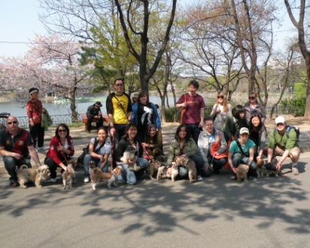 Walking dogs in Daegu