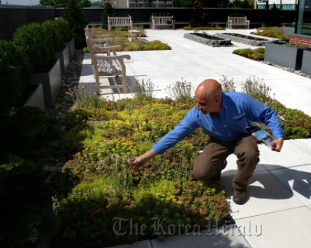 Rooftop garden soothes patients