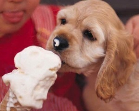 Italy introduces ice cream for dogs