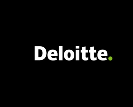 Deloitte Anjin gets 1-year new business suspension