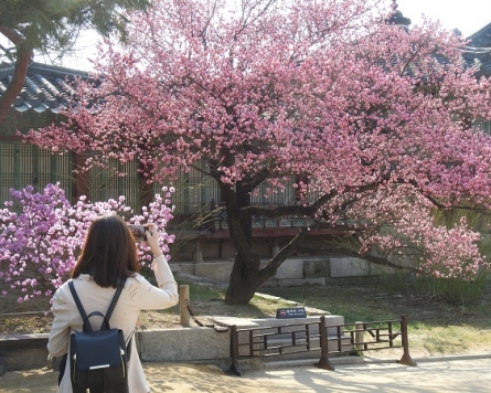Seoul center runs Changdeokgung tour