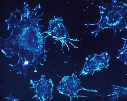 Korean researchers find nanostructure that combats cancer