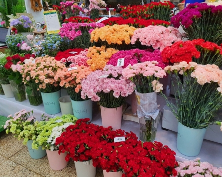 [Well-curated weekend] For Parents’s Day, head to Yangjae Flower Market Center for freshest cut carnations