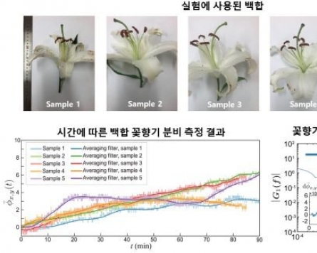Researchers visualize floral scent in real time for first time
