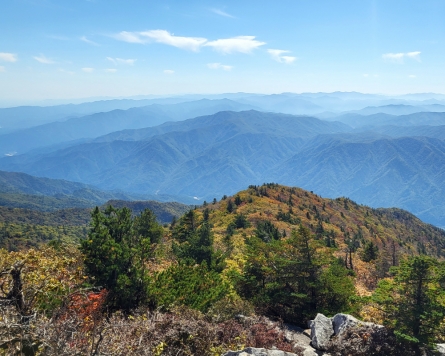 When is peak fall foliage date across South Korea?