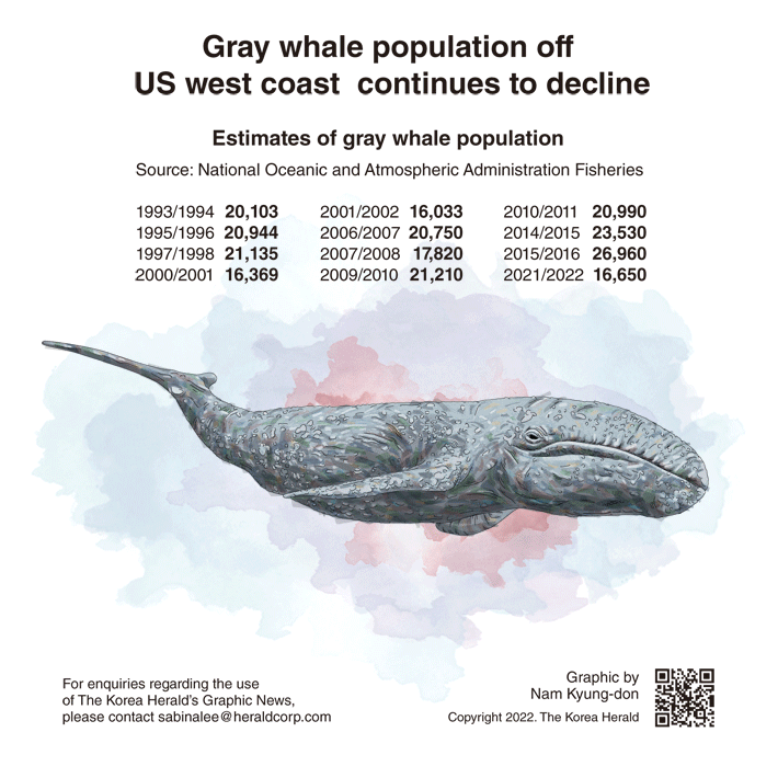 [Graphic News] Gray whale population off US west coast continues to decline