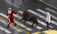 <포토뉴스>“그리스 산타는 루돌프 대신 조랑말”