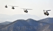 <포토뉴스>코브라 공격헬기들의 위용