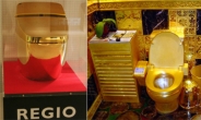 일본이 공개한 ‘고급 황금화장실’...얼마?