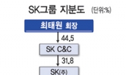 SK그룹, 이번엔 지주사 전환 될까