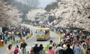 ‘서울의 숲’ 문화·체험 꽃길 열다