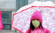 우산·모자에 마스크까지…꽁꽁싸맨 시민들 눈만 보였다