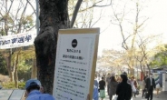 “자숙 도움 안돼”…日 벚꽃놀이 참여 확산