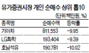 개미들 한달새 순매수액 2兆…그러나 이번에도 재미못봤다