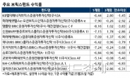 “믿었던 러시아마저…”, 애물단지 된 ‘브릭스펀드’ 어떻게 하나