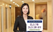 대우증권, 최고 연 25% 수익 추구하는 ELS 7종 DLS 2종 공모