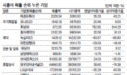 매출규모 뒤져도 시장가치 높은 기업 주목을