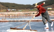 충남도, 서해안 갯벌 천일염 ‘명품화’ 사업 박차